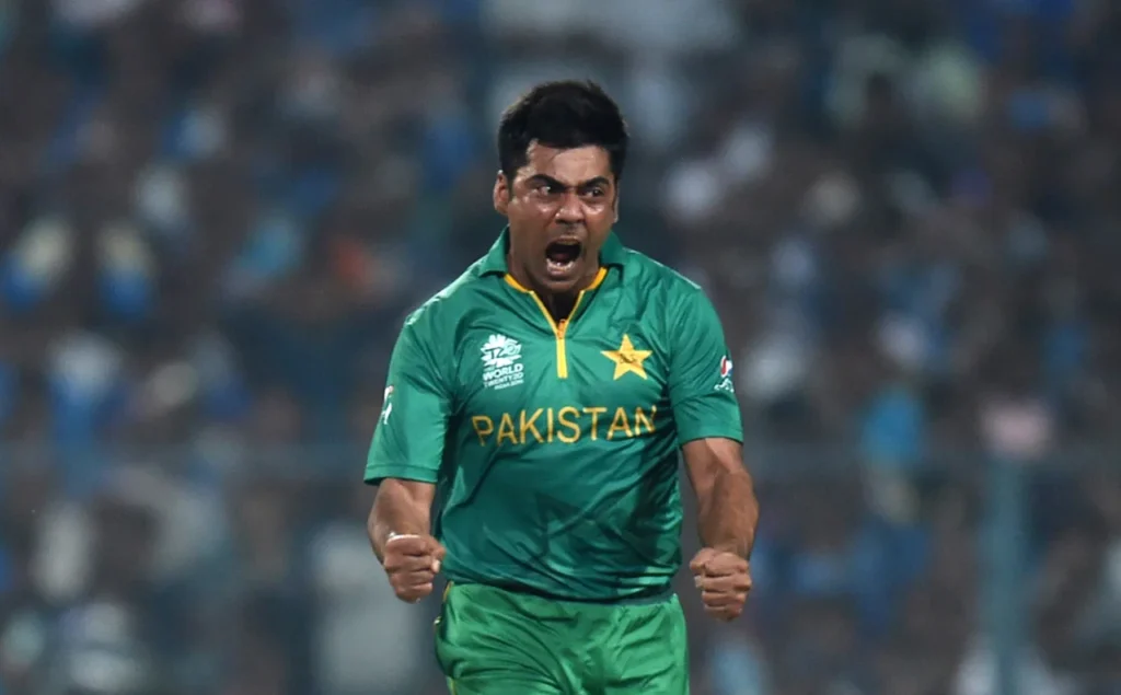 Most Wickets in IND vs PAK ODI Series